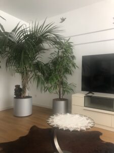 I am a Carpenter with 10 years of experience